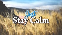 &#039;Just Stay Calm&#039; – Dr Leslie Keegel